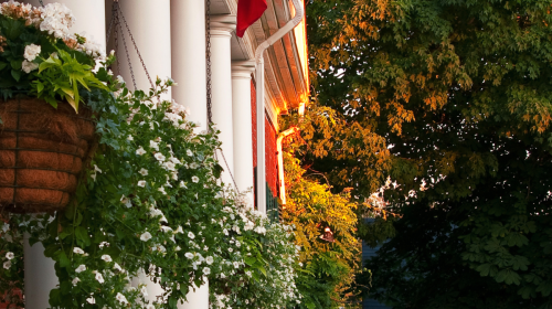 Residential Premium Main Image