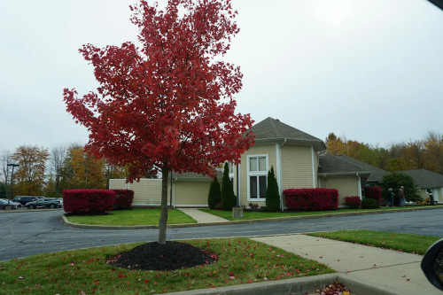 Residential Premium Image