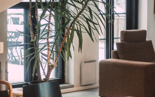 Residential Premium Image