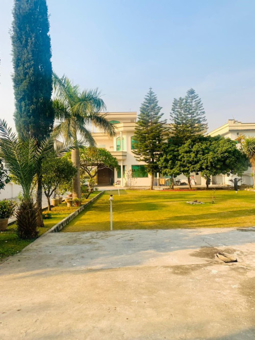 Residential Premium Image