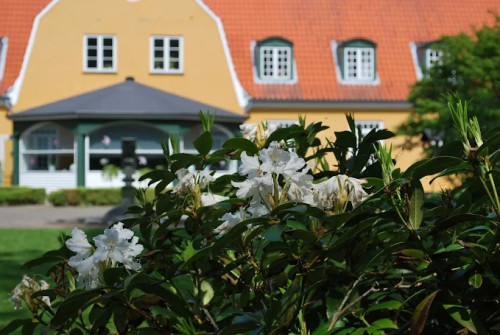 Residential Premium Image