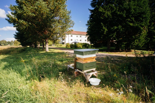 Residential Premium Image