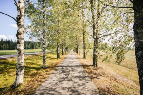 Residential Premium Image