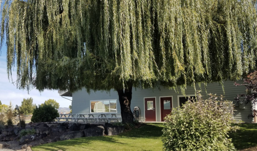 Residential Premium Image