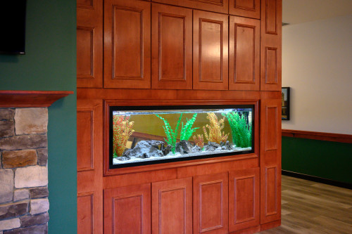 Residential Premium Image