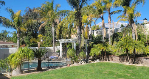 Residential Premium Image