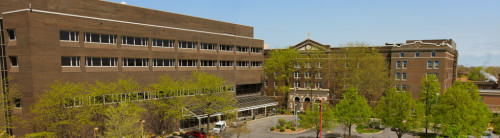 Residential Premium Main Image