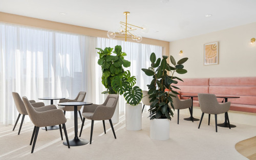 Residential Premium Image
