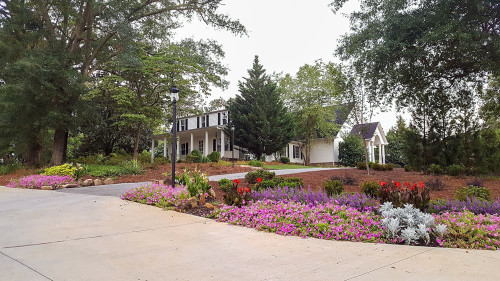 Residential Premium Main Image