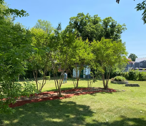 Residential Premium Image