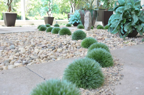 Residential Premium Main Image