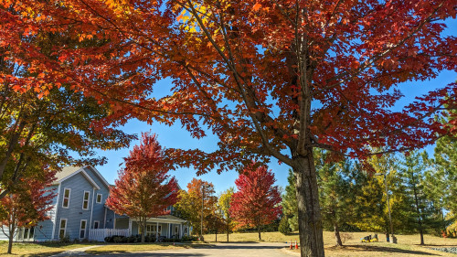 Residential Premium Image