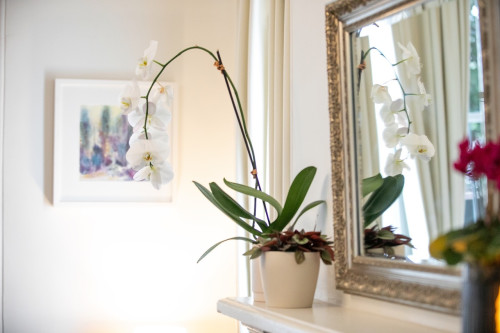Residential Premium Image
