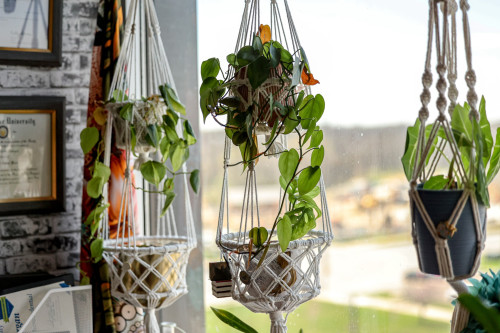 Residential Premium Image