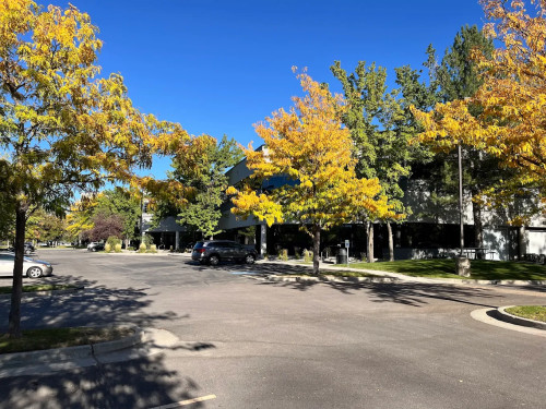 Residential Premium Image