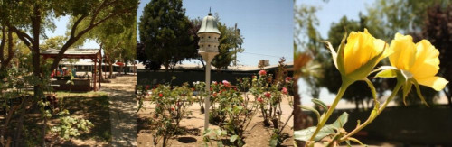 Residential Premium Main Image