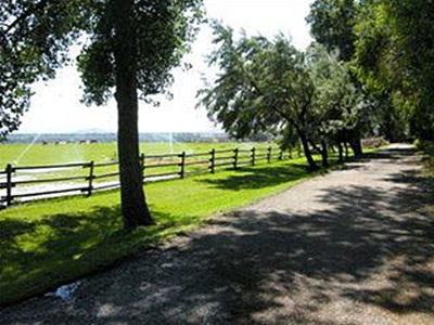 Residential Premium Main Image