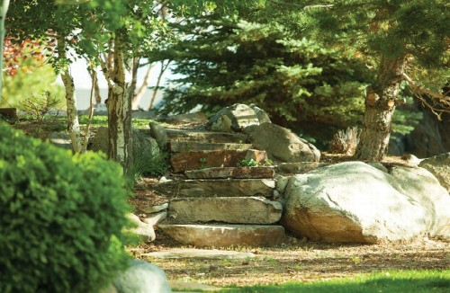 Residential Premium Image