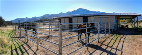 Residential Premium Image