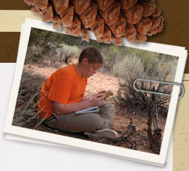 Residential Premium Main Image