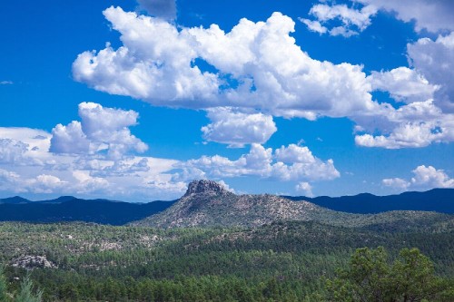 Residential Premium Main Image