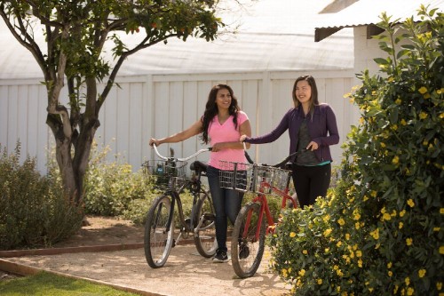 Residential Premium Image