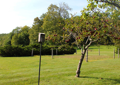 Residential Premium Main Image