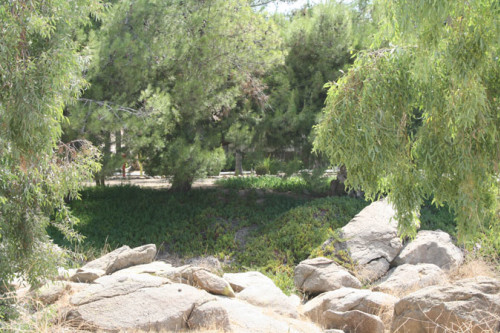 Residential Premium Main Image