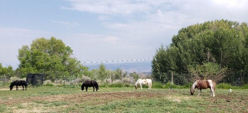 Residential Premium Image