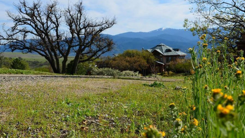 Residential Premium Main Image