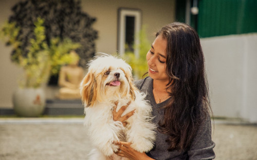 Residential Premium Image