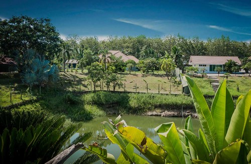 Residential Premium Image