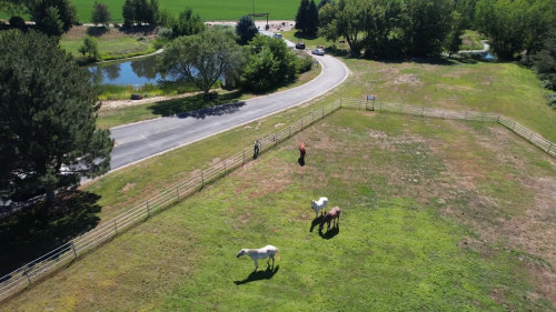 Residential Premium Image