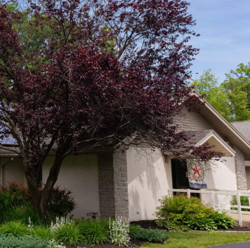 Residential Premium Image