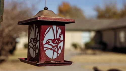 Residential Premium Image