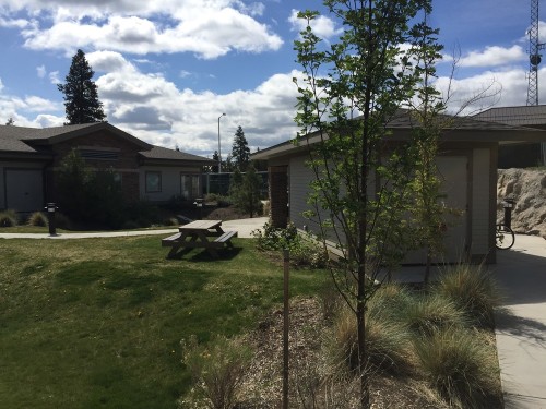 Residential Premium Image