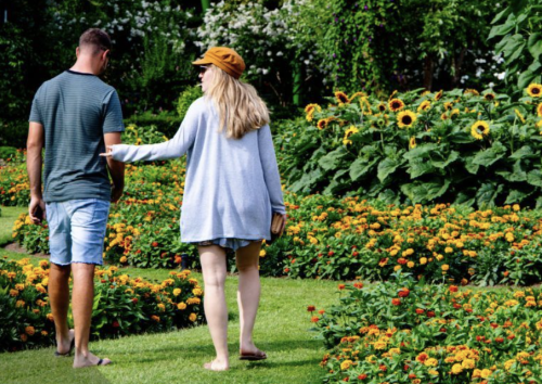 Residential Premium Image