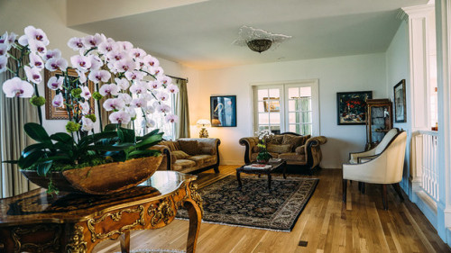 Residential Premium Main Image