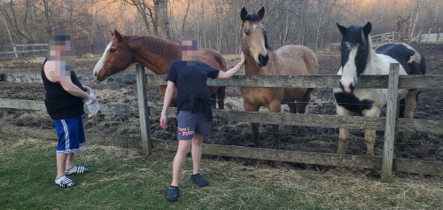 Residential Premium Image