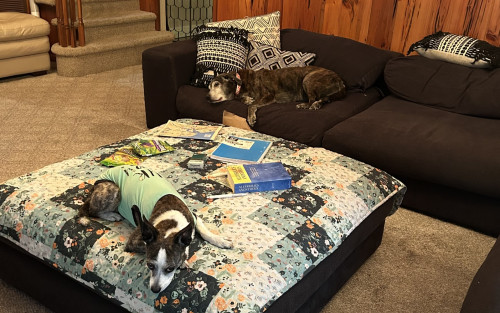 Residential Premium Image