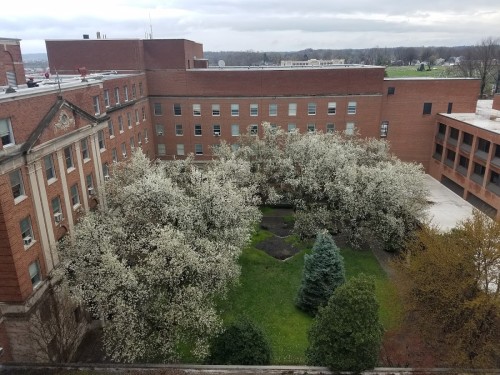 Residential Premium Main Image