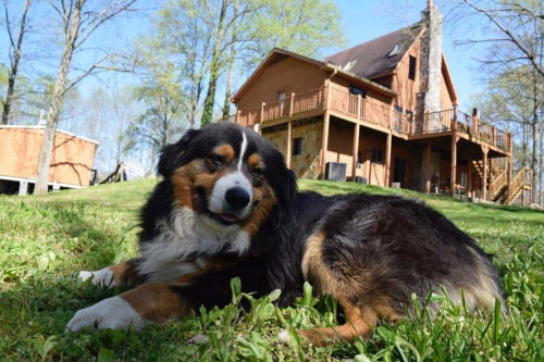 Residential Premium Main Image