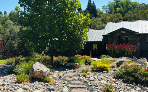 Residential Premium Image