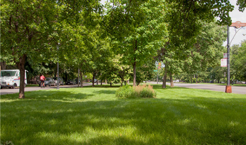 Residential Premium Image