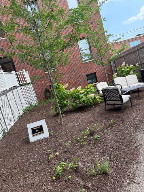 Residential Premium Image