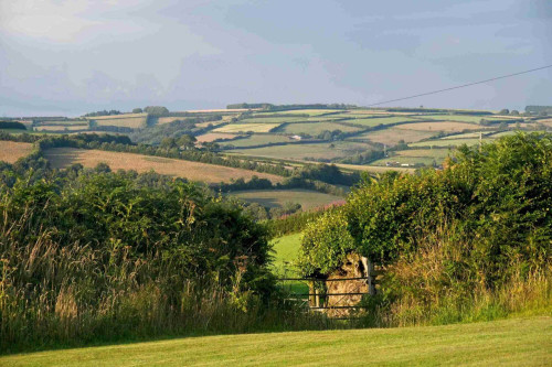 Residential Premium Main Image