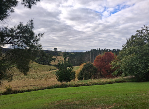 Residential Premium Image