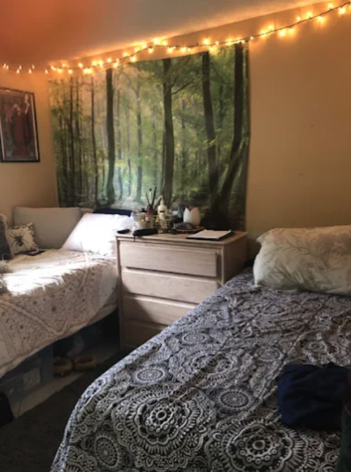 Residential Premium Image