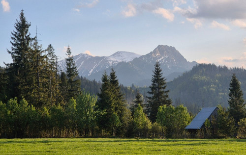 Residential Premium Image