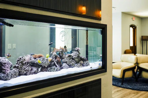 Residential Premium Image